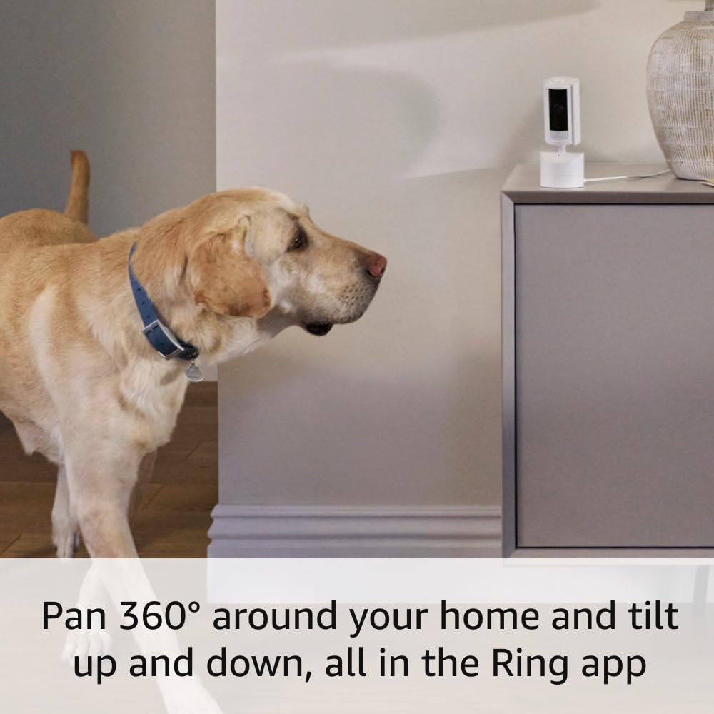 Ring Pan-Tilt Indoor Cam – 360° View, HD Video & Two-Way Talk (Black)